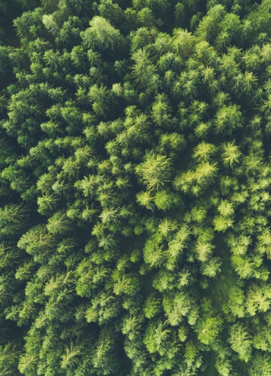 Preserver notre environnement